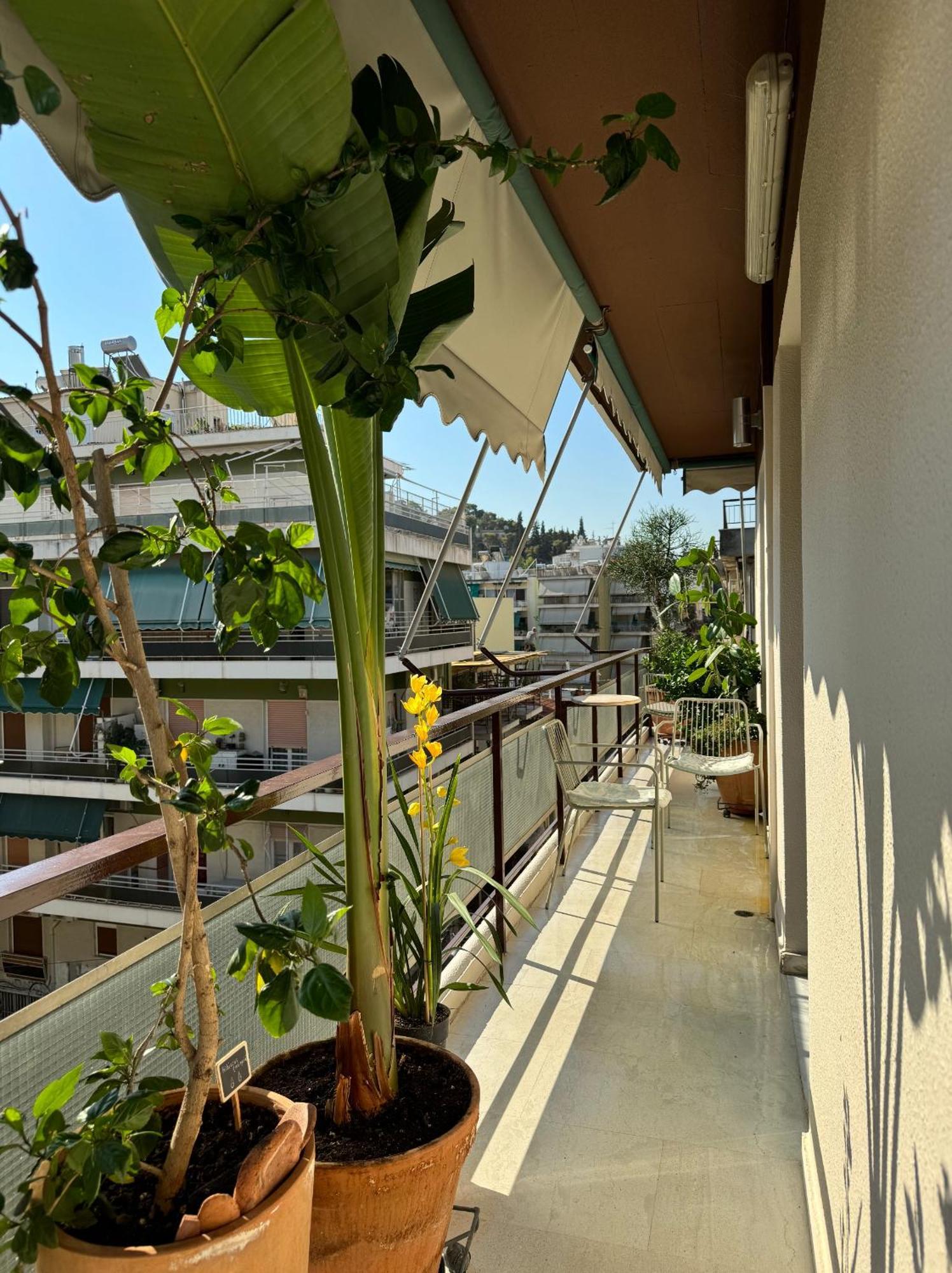 Friends & Family Apartment Athens Ngoại thất bức ảnh