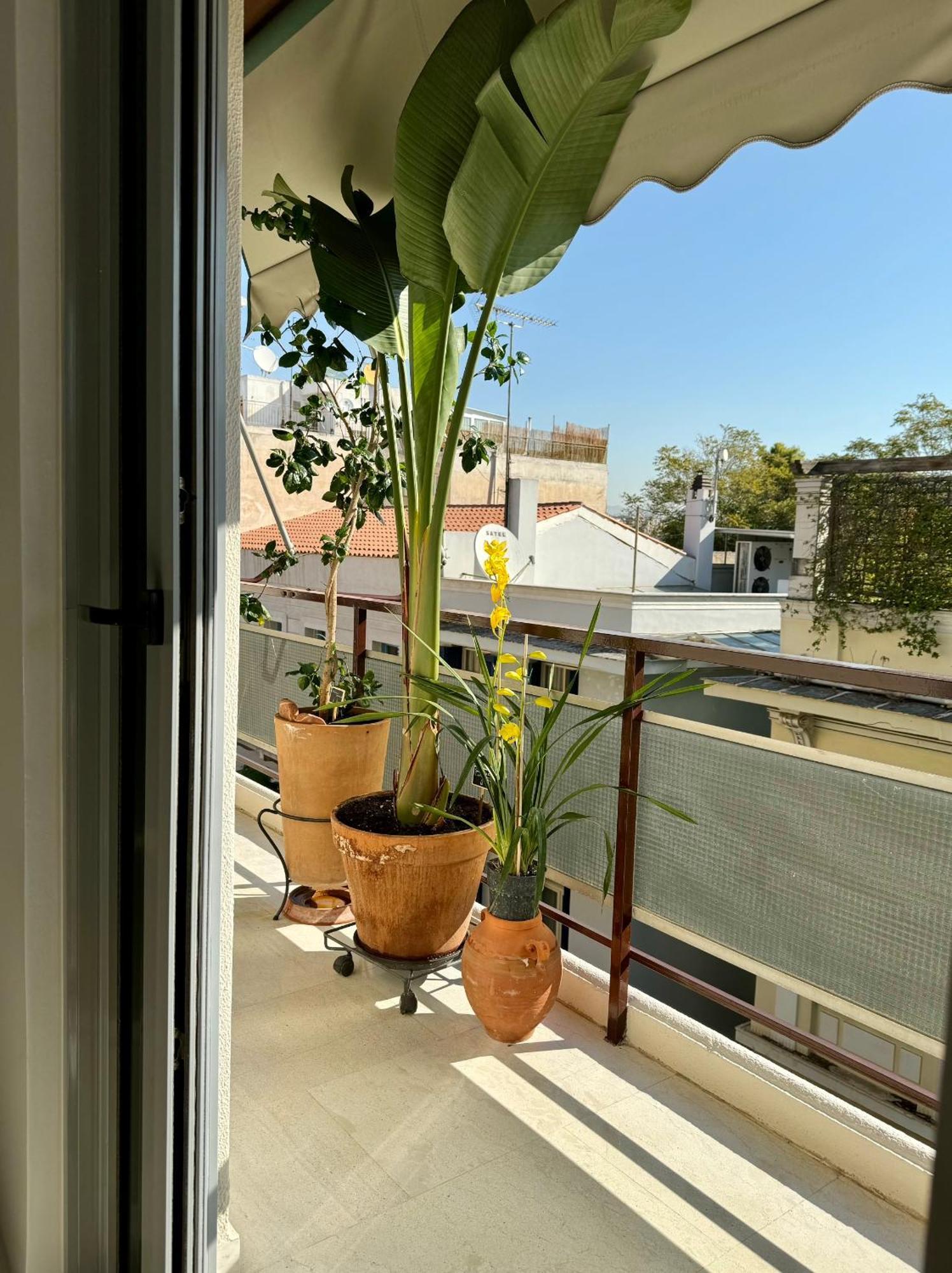 Friends & Family Apartment Athens Ngoại thất bức ảnh
